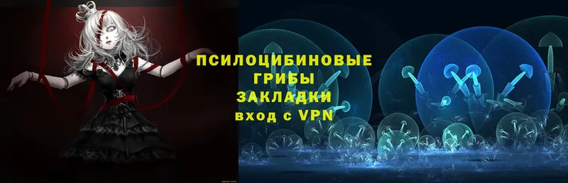 Галлюциногенные грибы мухоморы  что такое   Уссурийск 